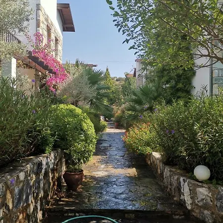Iasos 酒店 *